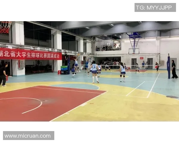 武汉排球队近期表现分析与未来发展展望