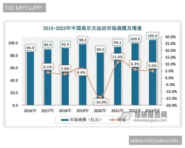 深圳羽毛球队比赛经验深度对比及其对未来发展的影响分析
