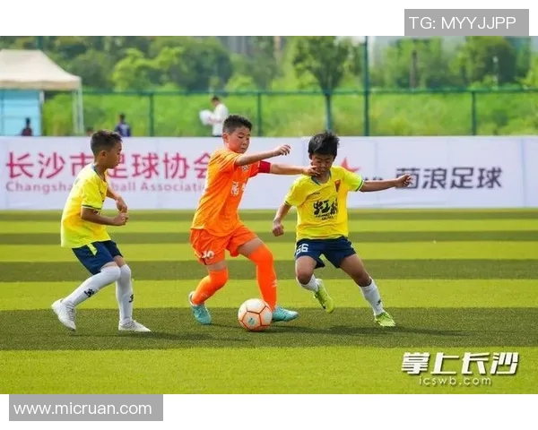 南京足球队的奋斗历程与荣耀追寻:一段不屈的足球纪实之旅 南京足球队的奋斗历程与荣耀追寻:一段不屈的足球纪实之旅