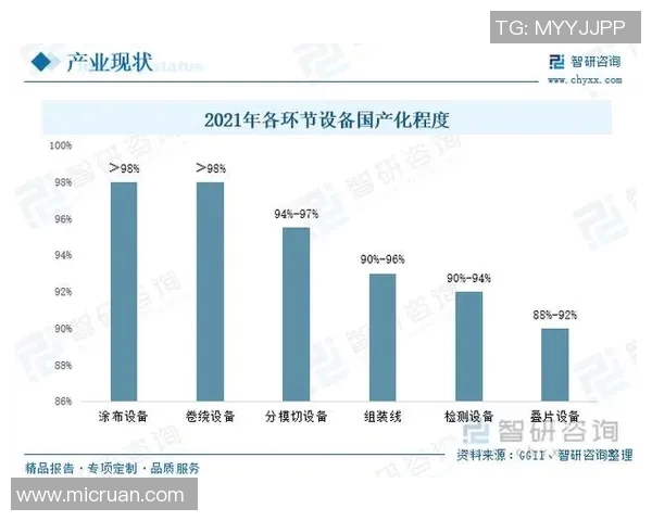 广州排球队的运营揭秘与深度分析探讨排球运动的未来发展方向