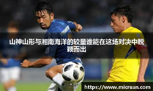 山神山形与湘南海洋的较量谁能在这场对决中脱颖而出