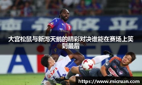 大宫松鼠与新泻天鹅的精彩对决谁能在赛场上笑到最后