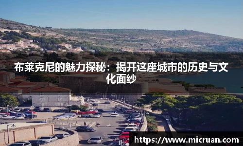 电竞牛官网
